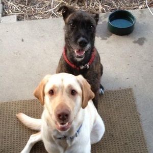 Meet your Posher, Mike